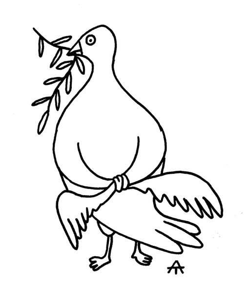 Dove with its wings tied