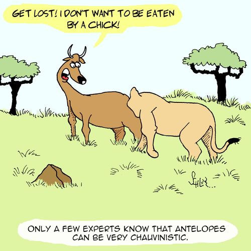 Only a few experts know that antelopes can be very chauvinistic.