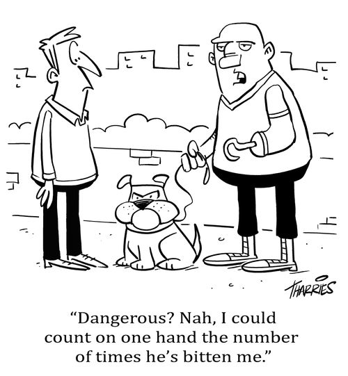 "Dangerous? Nah, I could count on one hand the number of times he's bitten me."