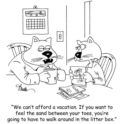 "We can't afford a vacation. If you want to feel the sand between your toes, you're going to have to walk around in the litter box."