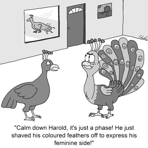 "It's just a phase! He just shaved his coloured feathers off to express his feminine side!"