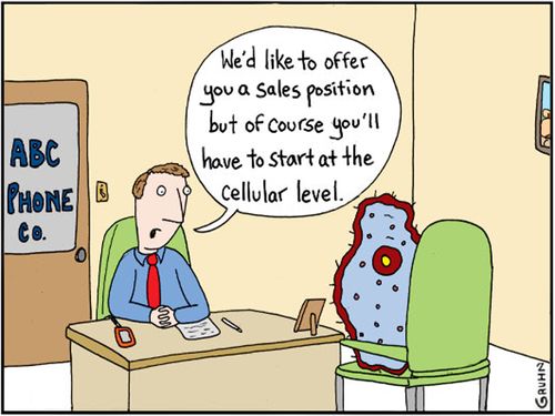 "We'd like to offer you a sales position but of course you'll have to start at the cellular level."