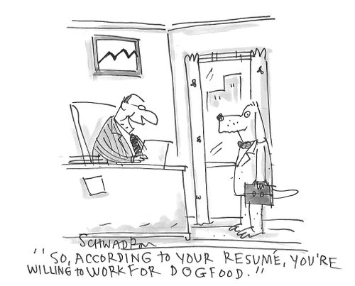 "So, according to your resume, you're willing to work for dog food."
