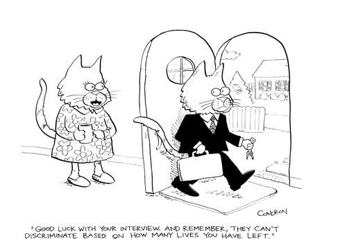 "Good luck with your interview.  And remember, they can't discriminate based on how many lives you have left."