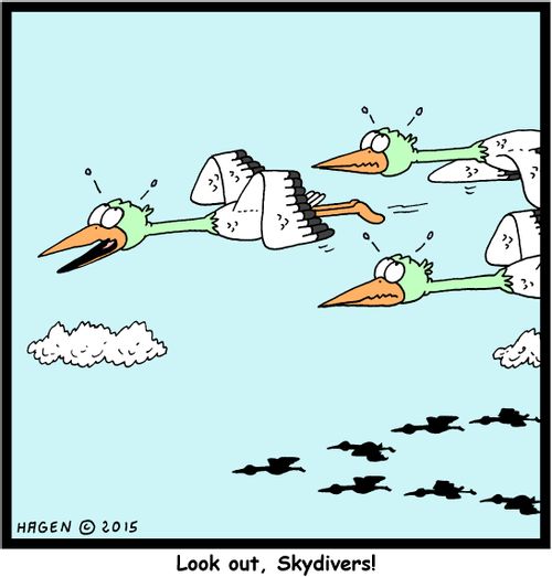 Look out, Skydivers!