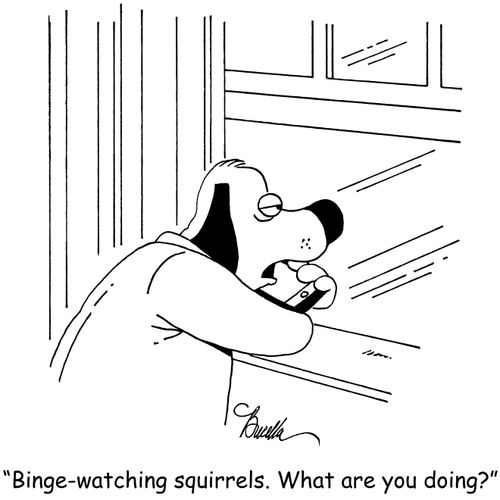 "Binge-watching squirrels. What are you doing?"