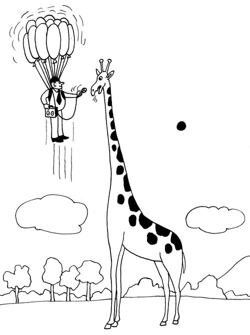 Giraffe Interview