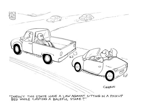 "Doesn't this state have a law against sitting in a pickup bed while casting a baleful stare?"