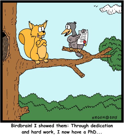 "Birdbrain! I showed them: Through dedication and hard work, I now have a PhD..."