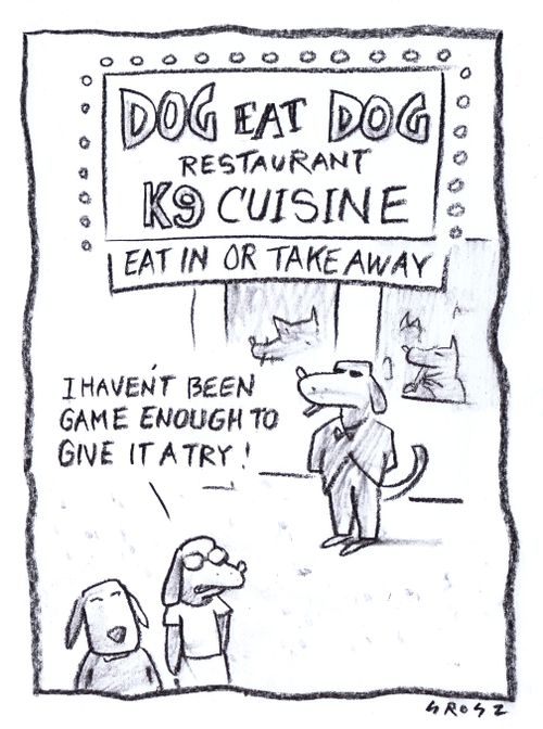 "I haven't been game enough to give it a try!"