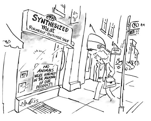 Synthesized Meat - Formerly: Butcher Shop