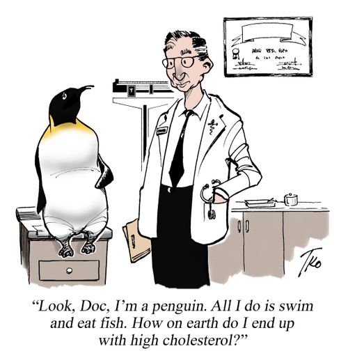"Look, Doc, I'm a penguin. All I do is swim and eat fish. How on earth do I end up with high cholesterol?"