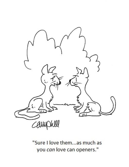 "Sure I love them...as much as you can love can openers."