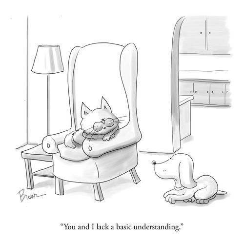 "You and I lack a basic understanding."