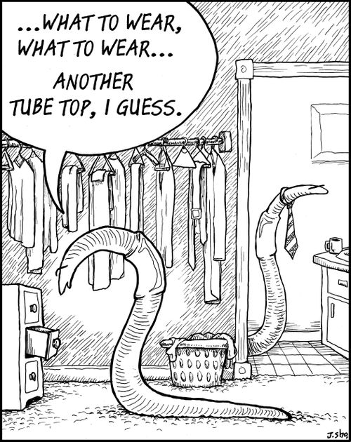 "What to wear, what to wear.. another tube top, I guess."