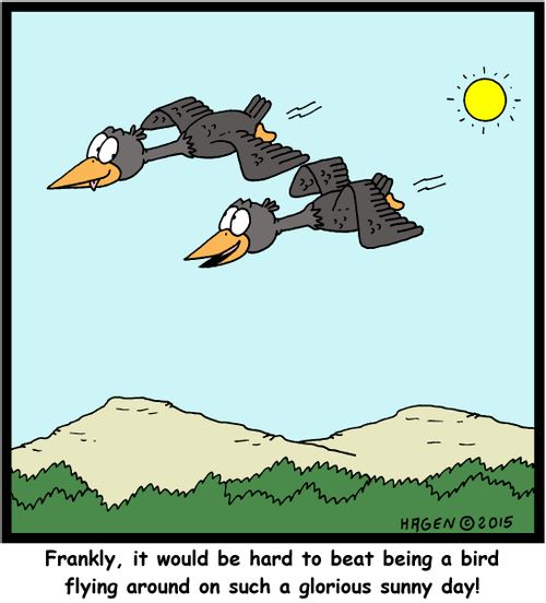 "Frankly, it would be hard to beat being a bird flying around on such a glorious sunny day!"
