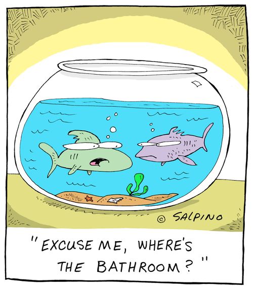 "Excuse me, where's the bathroom?"