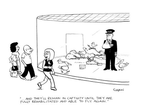 "And they'll remain in captivity until they are fully rehabilitated and able to fly again."