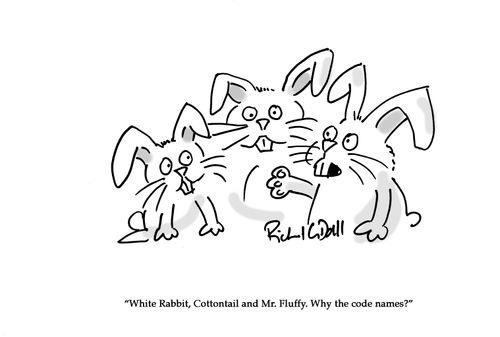 "White Rabbit, Cottontail and Mr. Fluffy. Why the code names?"