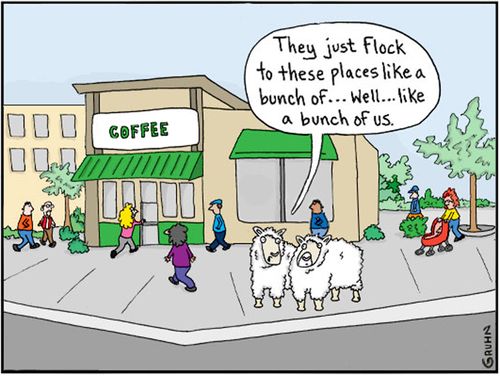 "They just flock to these places like a bunch of...well....like a bunch of us."
