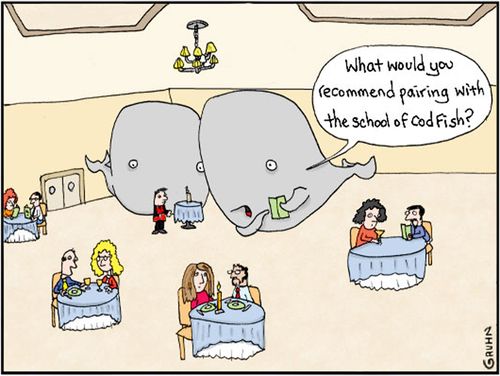 "What would you recommend pairing with the school of cod fish?"