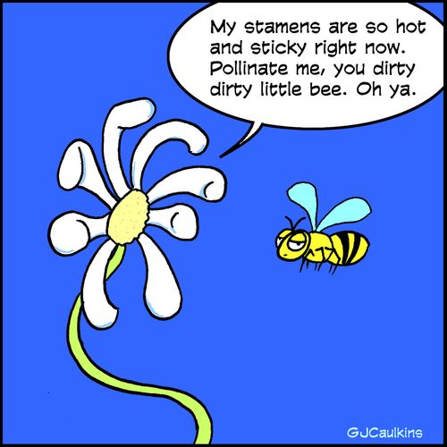 "My stamens are so hot and sticky right now. Pollinate me, you dirty dirty little bee. Oh ya."