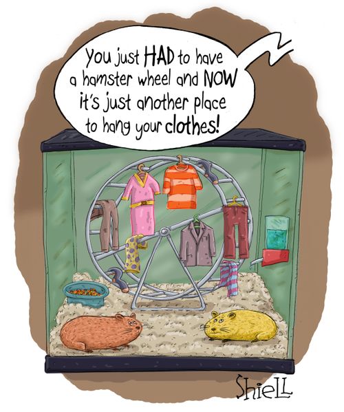 "You just had to have a hamster wheel and now it's just another place to hang your clothes!"