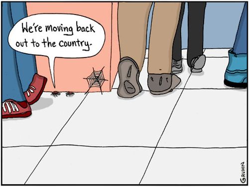 "We're moving back out to the country."