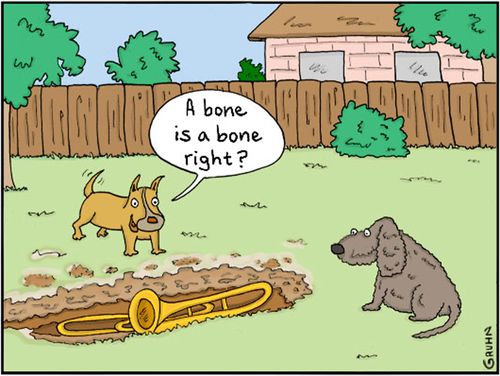 "A bone is a bone right?"
