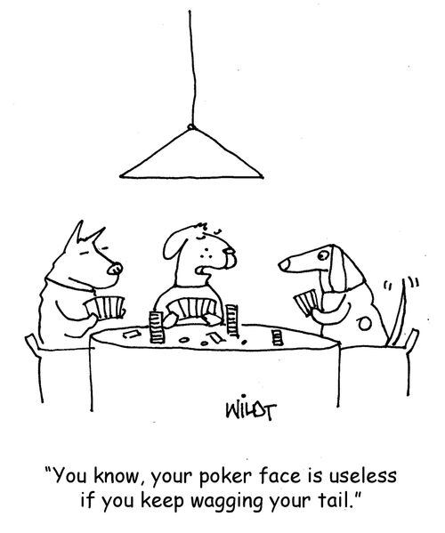"You know, your poker face is useless if you keep wagging your tail."