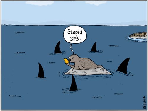 "Stupid GPS."