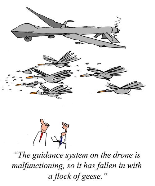 "The guidance system on the drone is malfunctioning, so it has fallen in with a flock of geese."