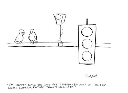 "I'm pretty sure the cars are stopping because of the red light camera rather than your glare."