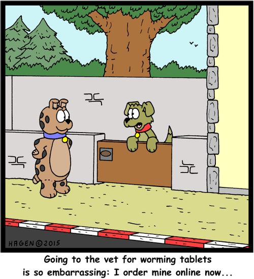 "Going to the vet for worming tablets is so embarrassing: I order mine online now..."