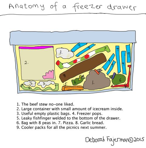 Anatomy of a freezer drawer