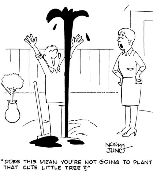 "Does this mean you're not going to plant that cute little tree?"