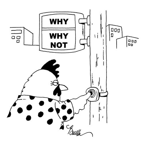 Why did the chicken cross the road?
