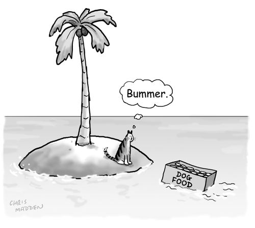 "Bummer."