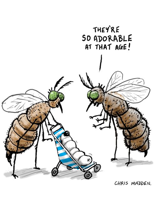 "They're so adorable at that age!"