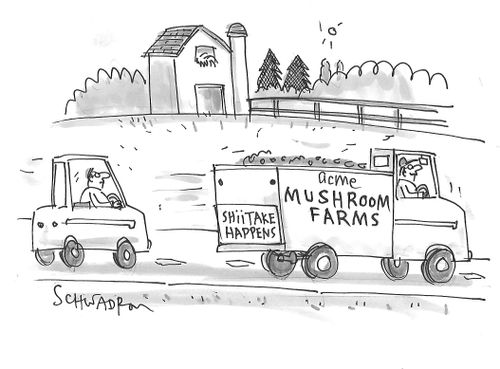 Shiitake Happens