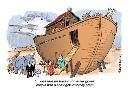 "....and next we have a same-sex goose couple with a civil rights attorney pair."