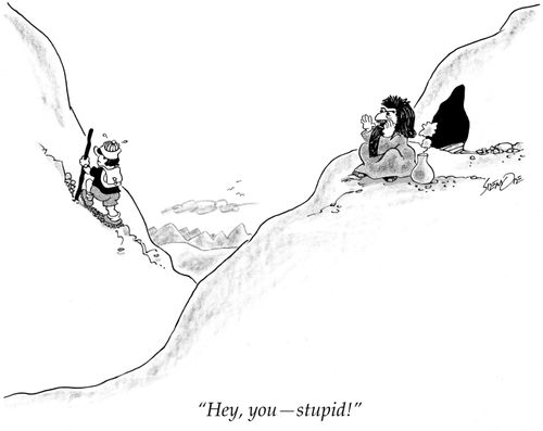 "Hey, you - stupid!"