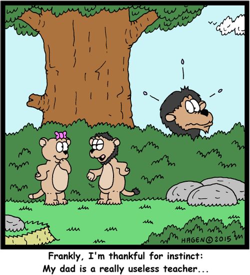 "Frankly, I'm thankful for instinct: My dad is a really useless teacher..."