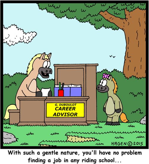 "With such a gentle nature, you'll have no problem finding a job in any riding school..."