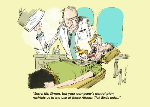 "Sorry, Mr. Simon, but your company's dental plan restricts us to the use of these African Tick Birds only..."