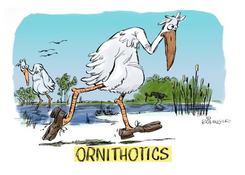 Ornithotics