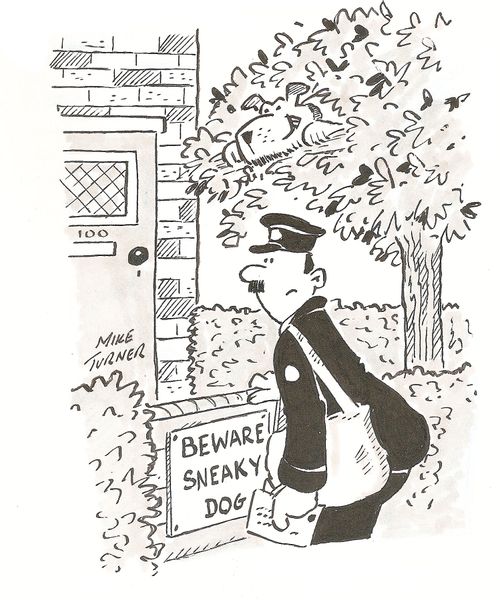 Beware Sneaking Dog