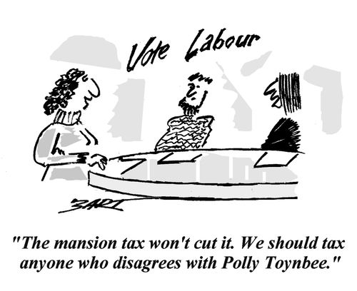 "The mansion tax won't cut it. We should tax anyone who disagrees with Polly Toynbee."