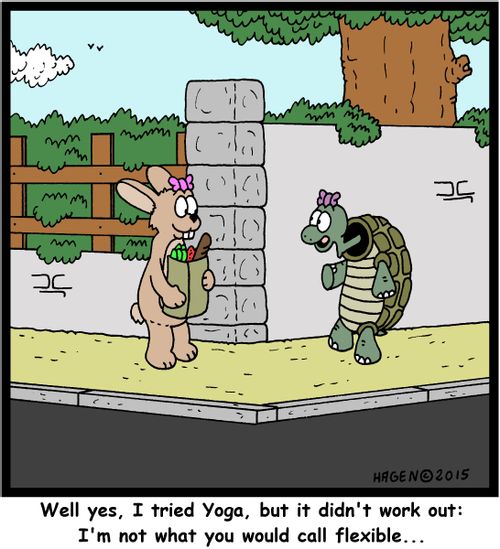 "Well yes, I tried Yoga, but it didn't work out: I'm not what you would call flexible..."