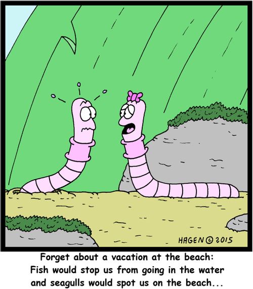 "Forget about a vacation at the beach: Fish would stop us from going in the water and seagulls would spot us on the beach..."